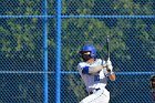 Baseball vs WPI  Wheaton College baseball vs Worcester Polytechnic Institute. - (Photo by Keith Nordstrom) : Wheaton, baseball